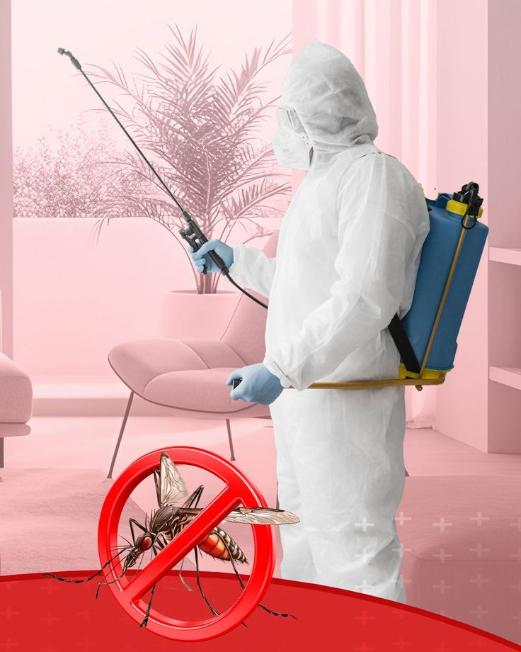 Hatay ev ilaçlama uygulaması