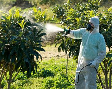 Hatay haşere ilaçlama dış alan